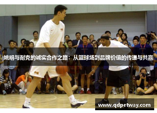 姚明与耐克的诚实合作之路：从篮球场到品牌价值的传递与共赢