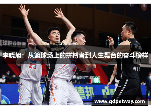 李晓旭：从篮球场上的拼搏者到人生舞台的奋斗榜样