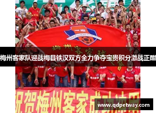 梅州客家队迎战梅县铁汉双方全力争夺宝贵积分激战正酣