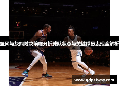 篮网与灰熊对决前瞻分析球队状态与关键球员表现全解析