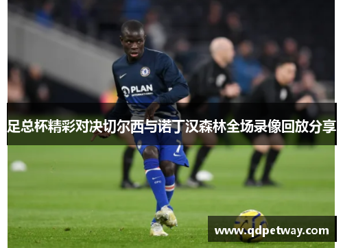 足总杯精彩对决切尔西与诺丁汉森林全场录像回放分享